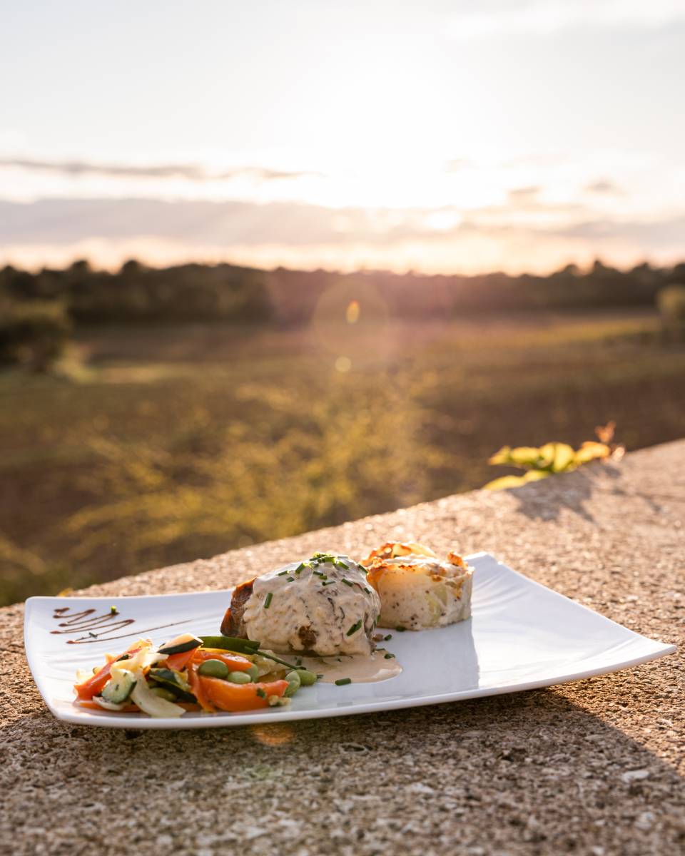 Mariage à la salle de réception Fénière au domaine de Sulauze à Miramas près de Istres